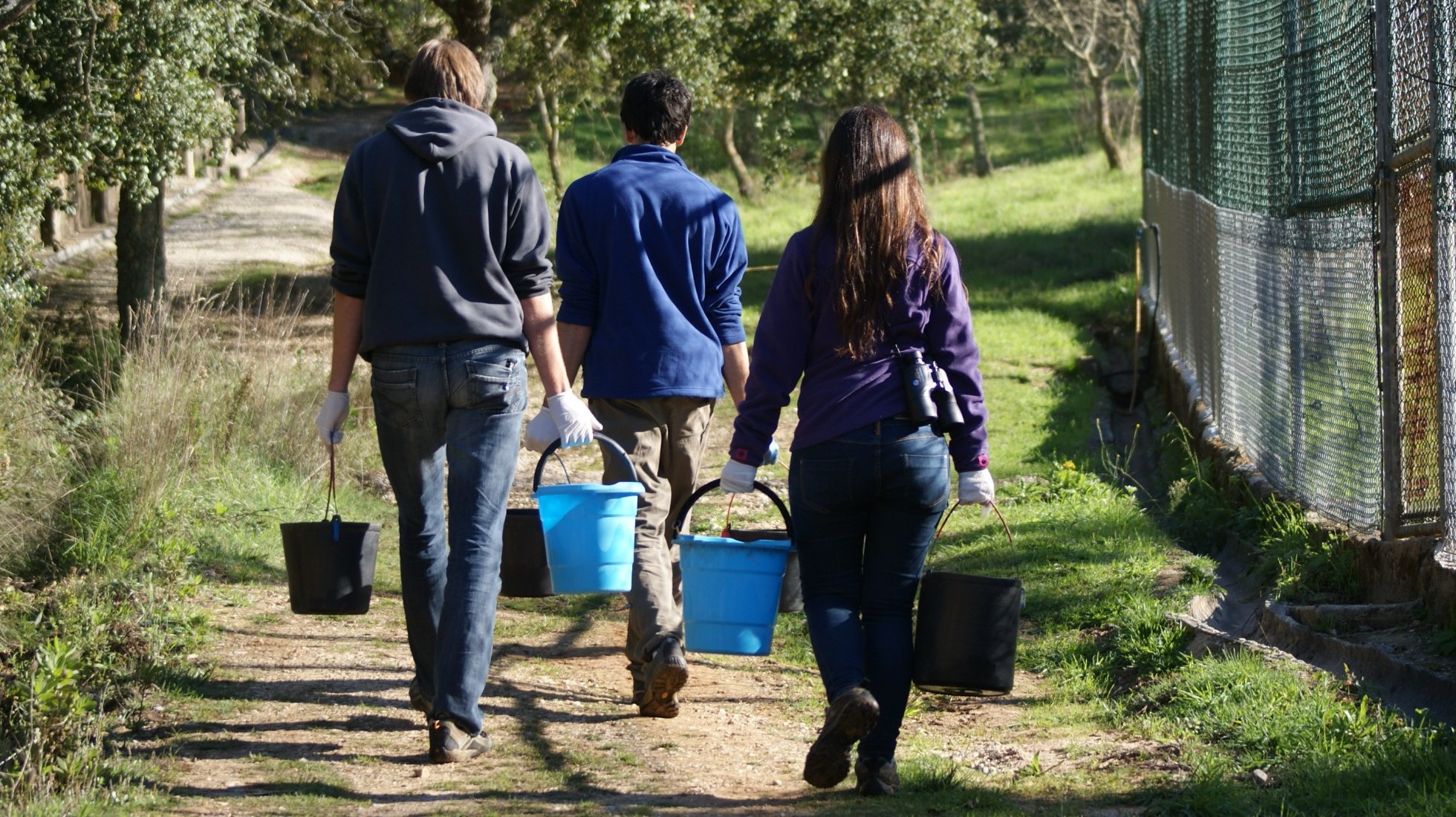 Volunteer program
